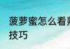 菠萝蜜怎么看熟了 看菠萝蜜熟没熟的技巧