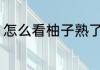 怎么看柚子熟了么 如何看柚子熟了么