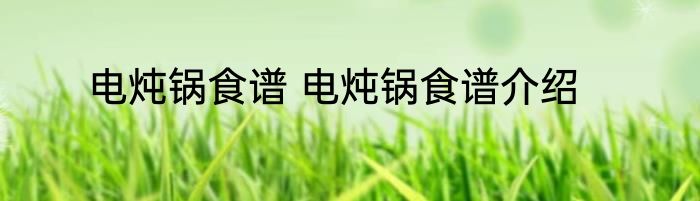 电炖锅食谱 电炖锅食谱介绍