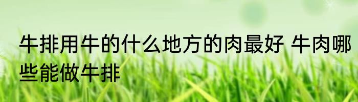 牛排用牛的什么地方的肉最好 牛肉哪些能做牛排