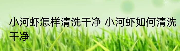 小河虾怎样清洗干净 小河虾如何清洗干净