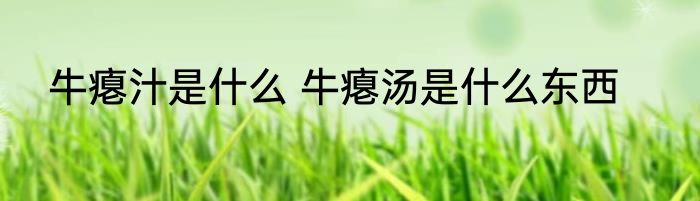 牛瘪汁是什么 牛瘪汤是什么东西