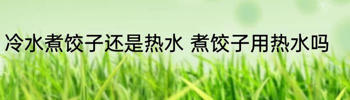 冷水煮饺子还是热水 煮饺子用热水吗