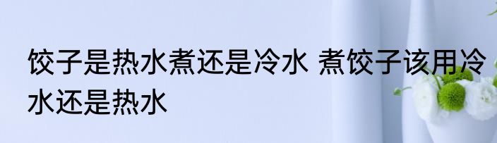 饺子是热水煮还是冷水 煮饺子该用冷水还是热水