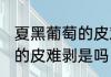 夏黑葡萄的皮难剥是这样吗 夏黑葡萄的皮难剥是吗