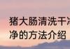 猪大肠清洗干净的方法 猪大肠清洗干净的方法介绍