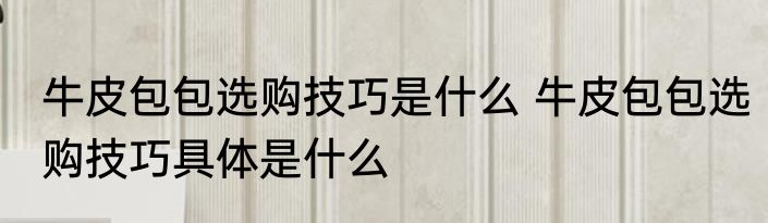 牛皮包包选购技巧是什么 牛皮包包选购技巧具体是什么