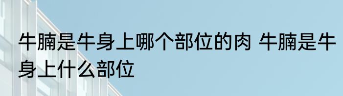 牛腩是牛身上哪个部位的肉 牛腩是牛身上什么部位