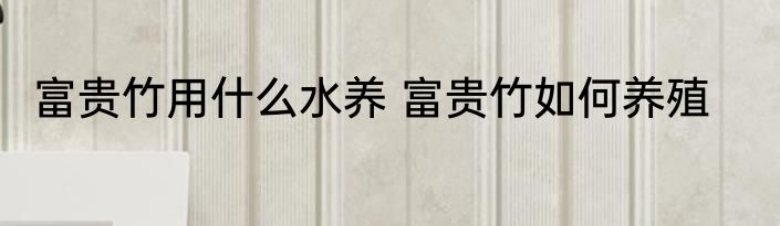 富贵竹用什么水养 富贵竹如何养殖