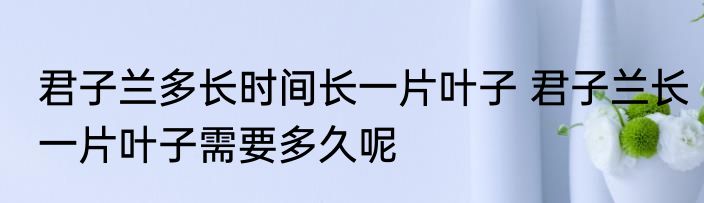 君子兰多长时间长一片叶子 君子兰长一片叶子需要多久呢