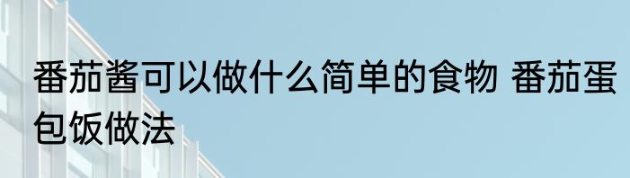 番茄酱可以做什么简单的食物 番茄蛋包饭做法