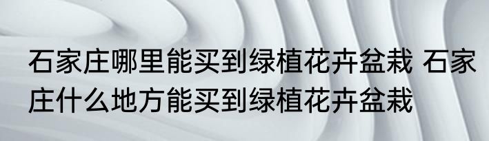 石家庄哪里能买到绿植花卉盆栽 石家庄什么地方能买到绿植花卉盆栽