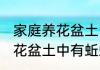 家庭养花盆土中有蚯蚓怎么办 家庭养花盆土中有蚯蚓的解决方法