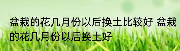 盆栽的花几月份以后换土比较好 盆栽的花几月份以后换土好