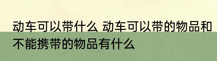 动车可以带什么 动车可以带的物品和不能携带的物品有什么