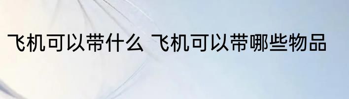 飞机可以带什么 飞机可以带哪些物品