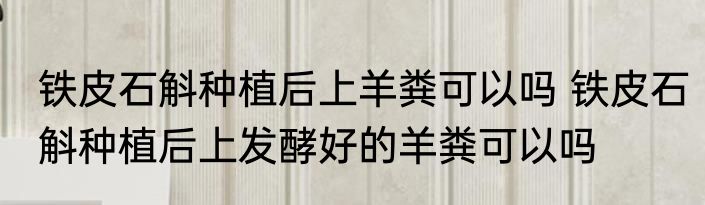铁皮石斛种植后上羊粪可以吗 铁皮石斛种植后上发酵好的羊粪可以吗