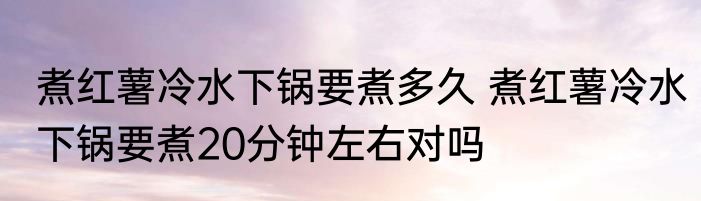 煮红薯冷水下锅要煮多久 煮红薯冷水下锅要煮20分钟左右对吗