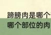 蹄膀肉是哪个部位的肉 蹄膀肉到底是哪个部位的肉呢