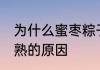 为什么蜜枣粽子煮不熟 蜜枣粽子煮不熟的原因