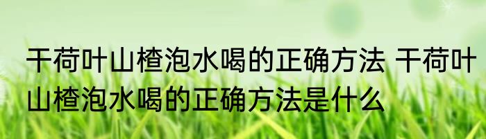 干荷叶山楂泡水喝的正确方法 干荷叶山楂泡水喝的正确方法是什么