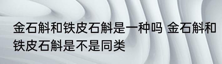 金石斛和铁皮石斛是一种吗 金石斛和铁皮石斛是不是同类