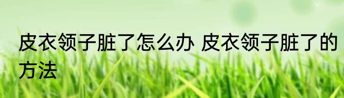 皮衣领子脏了怎么办 皮衣领子脏了的方法