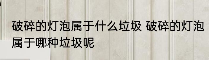 破碎的灯泡属于什么垃圾 破碎的灯泡属于哪种垃圾呢