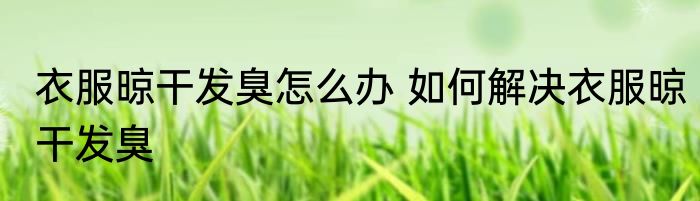 衣服晾干发臭怎么办 如何解决衣服晾干发臭