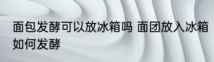 面包发酵可以放冰箱吗 面团放入冰箱如何发酵
