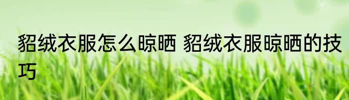 貂绒衣服怎么晾晒 貂绒衣服晾晒的技巧