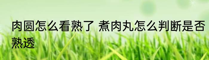 肉圆怎么看熟了 煮肉丸怎么判断是否熟透