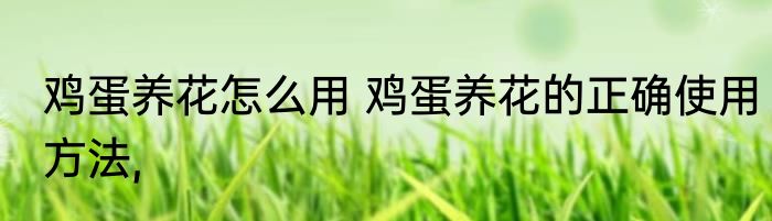 鸡蛋养花怎么用 鸡蛋养花的正确使用方法,