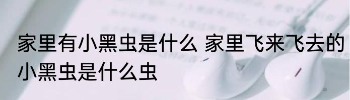 家里有小黑虫是什么 家里飞来飞去的小黑虫是什么虫