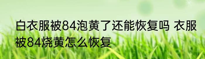 白衣服被84泡黄了还能恢复吗 衣服被84烧黄怎么恢复