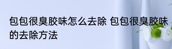 包包很臭胶味怎么去除 包包很臭胶味的去除方法