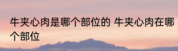 牛夹心肉是哪个部位的 牛夹心肉在哪个部位