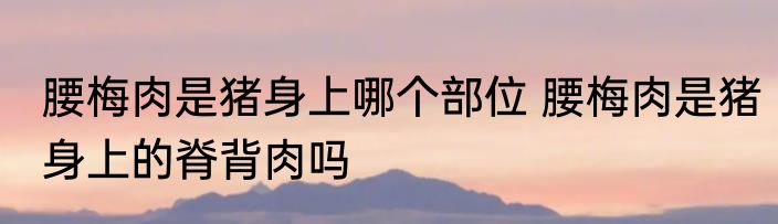 腰梅肉是猪身上哪个部位 腰梅肉是猪身上的脊背肉吗