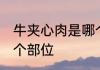 牛夹心肉是哪个部位的 牛夹心肉在哪个部位