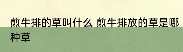 煎牛排的草叫什么 煎牛排放的草是哪种草