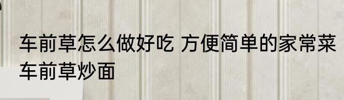 车前草怎么做好吃 方便简单的家常菜车前草炒面