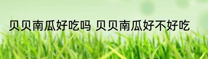 贝贝南瓜好吃吗 贝贝南瓜好不好吃