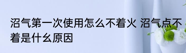 沼气第一次使用怎么不着火 沼气点不着是什幺原因