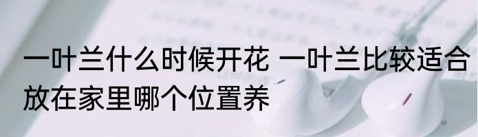 一叶兰什么时候开花 一叶兰比较适合放在家里哪个位置养