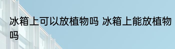 冰箱上可以放植物吗 冰箱上能放植物吗