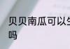 贝贝南瓜可以生吃吗 贝贝南瓜能生吃吗