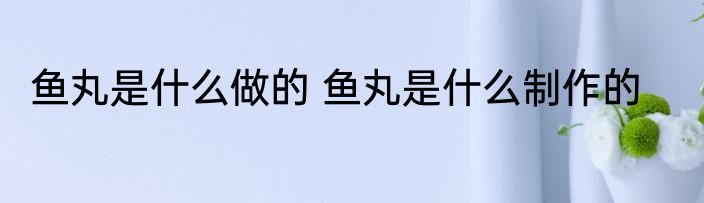 鱼丸是什么做的 鱼丸是什么制作的