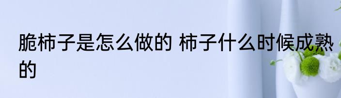 脆柿子是怎么做的 柿子什么时候成熟的