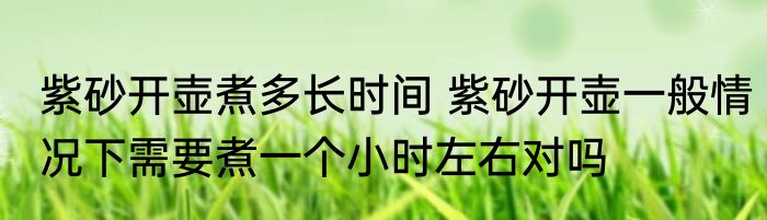 紫砂开壶煮多长时间 紫砂开壶一般情况下需要煮一个小时左右对吗