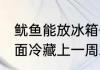 鱿鱼能放冰箱保鲜吗 鱿鱼放在冰箱里面冷藏上一周左右可以吗
